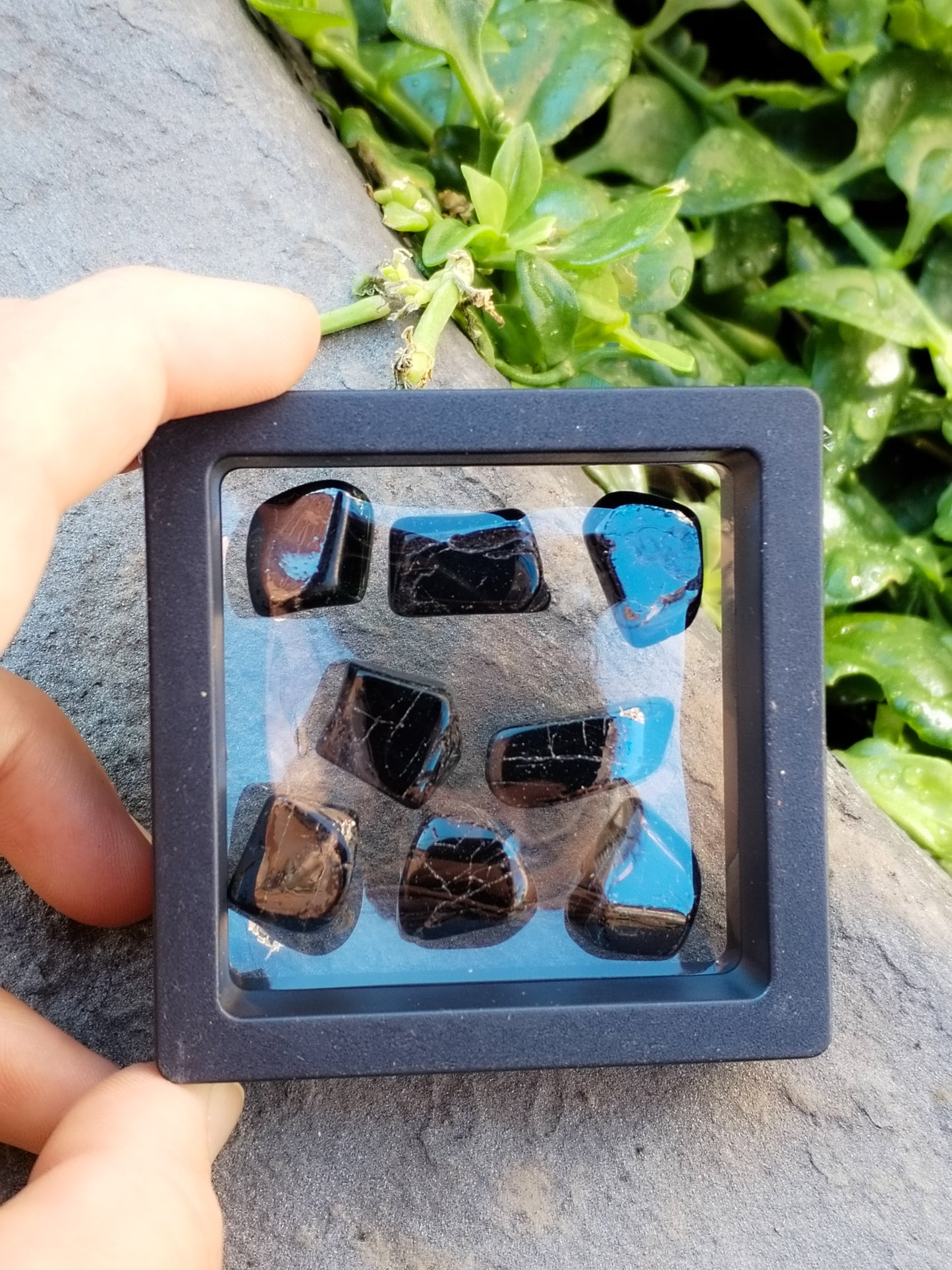 Lote de ocho turmalinas negras pulidas