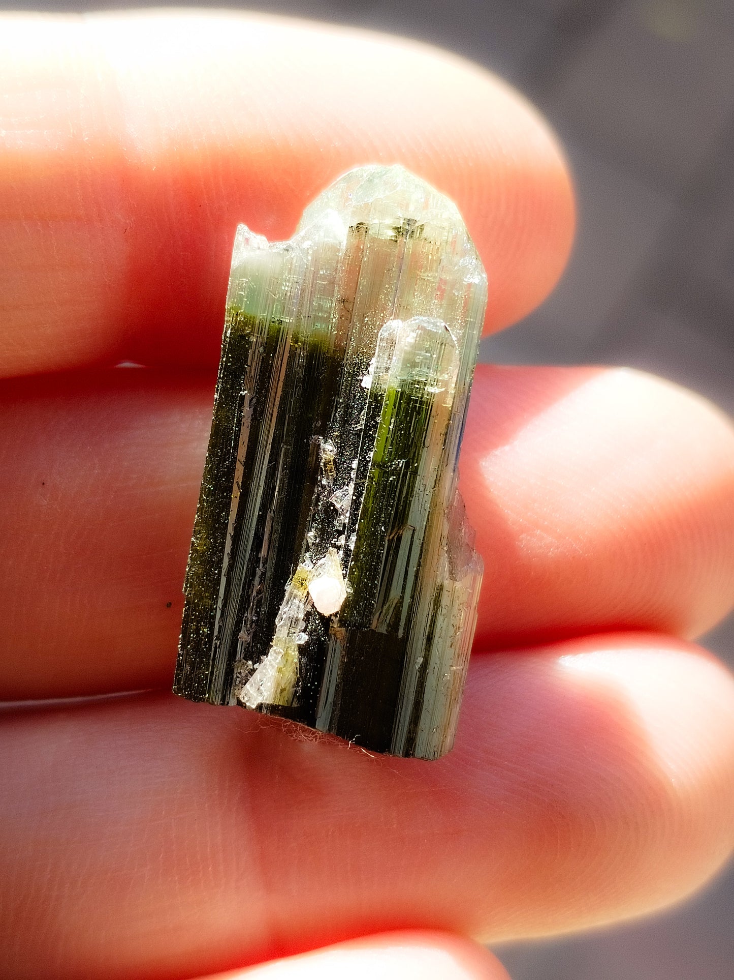 Turmalina Verde bicolor