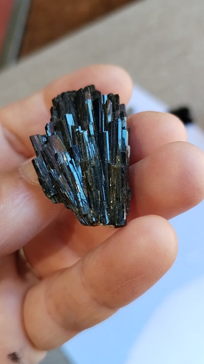 Epidota