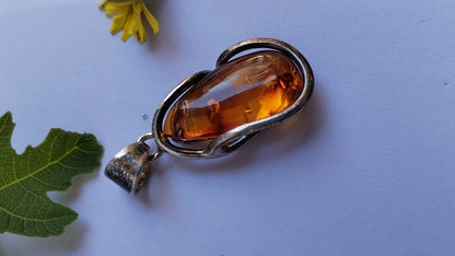 Colgante de Ámbar y Plata de ley