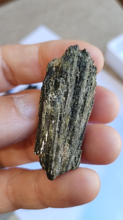 Epidota