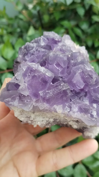Precioso ejemplar de Fluorita Violeta