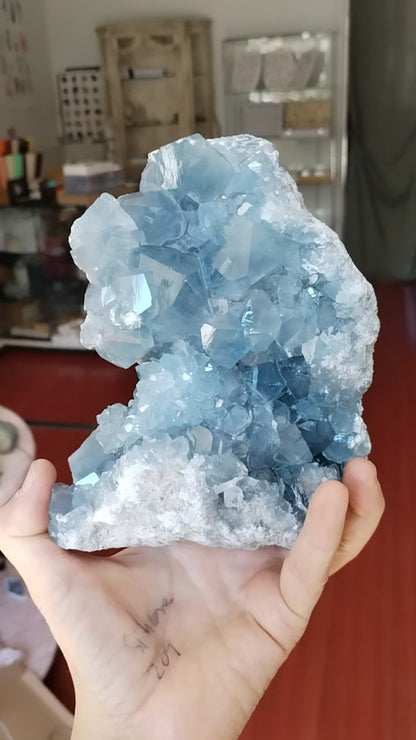 Celestina Extra pieza única