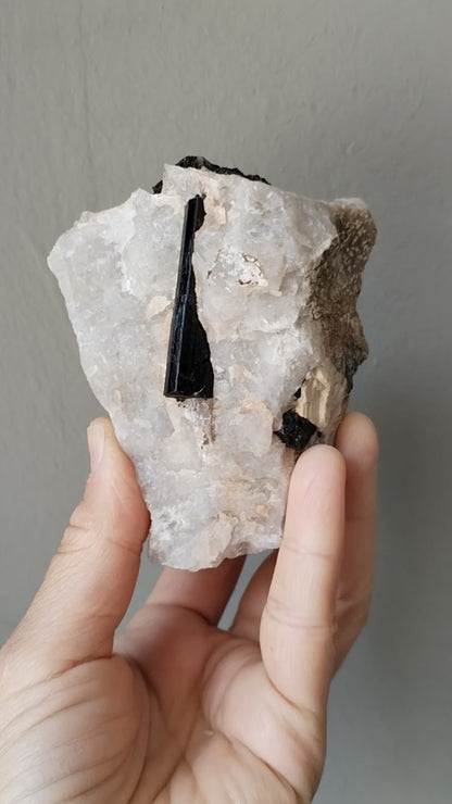 Turmalina Negra en Cuarzo blanco
