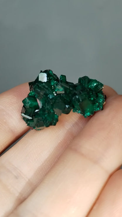 Dioptasa
