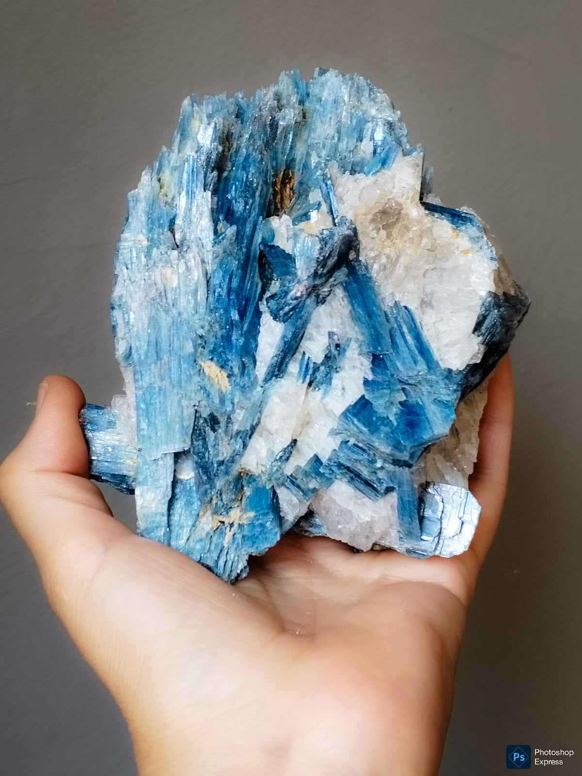 Cianita azul con cuarzo blanco, pieza calidad coleccionista