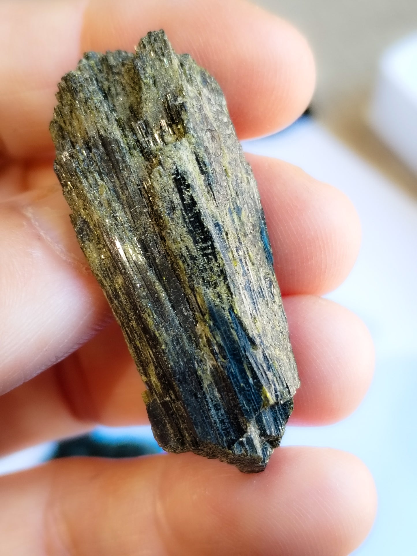 Epidota