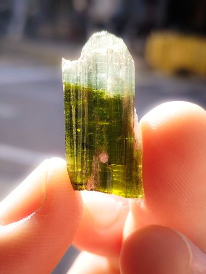 Turmalina Verde bicolor