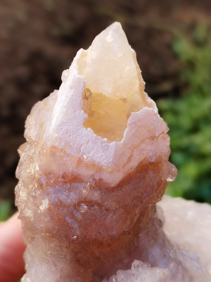 Amatista cactus con cristalización de calcita Procedente de México