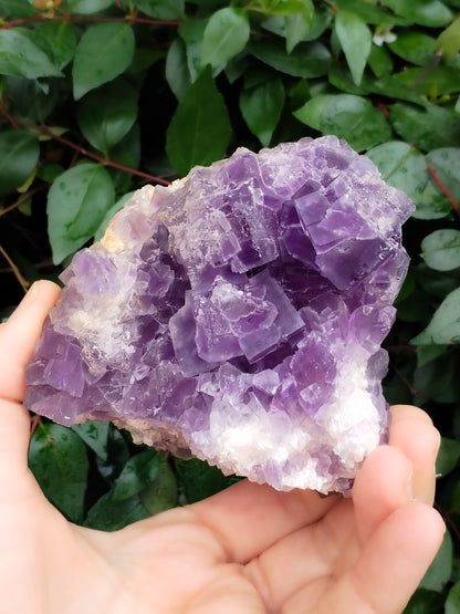 Precioso ejemplar de Fluorita Violeta