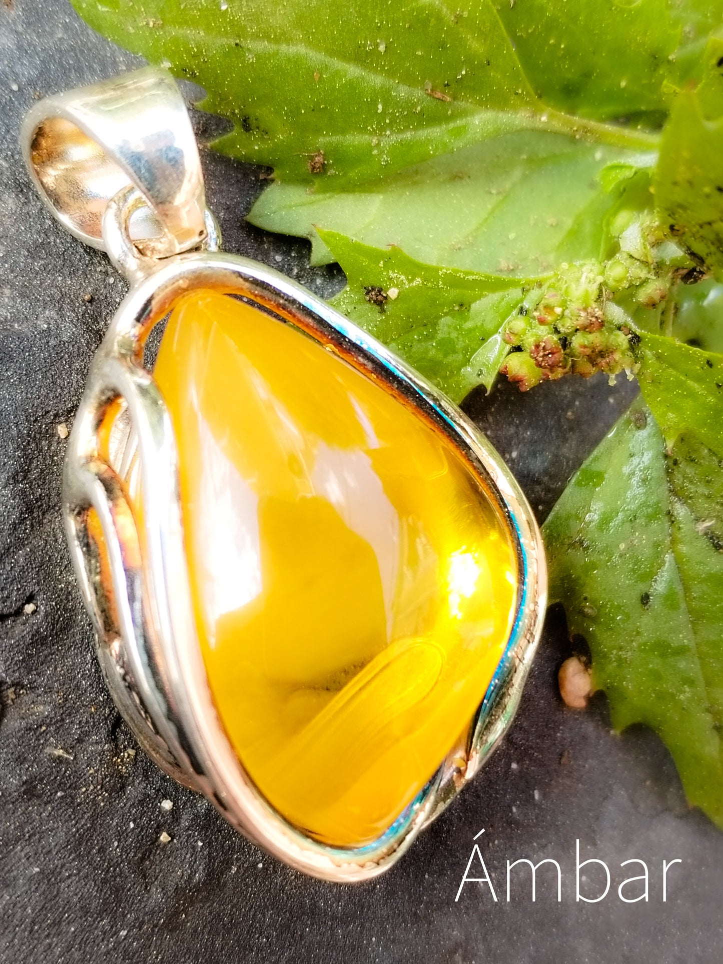 Colgante de Ámbar y Plata de ley