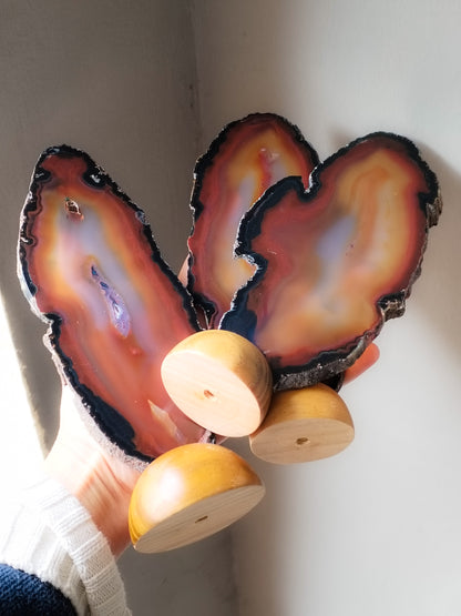 Tres rodajas de Carneola con Base de madera