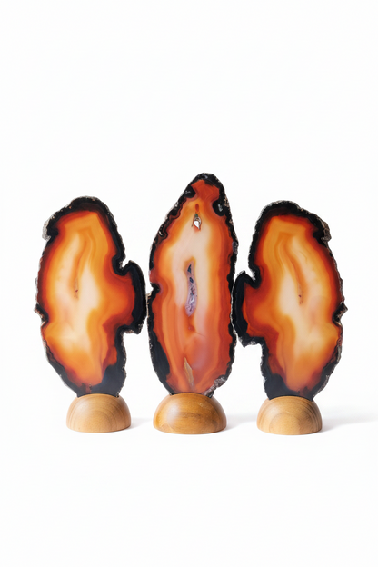 Tres rodajas de Carneola con Base de madera