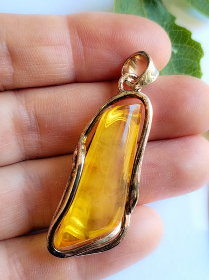 Colgante de Ámbar y Plata de ley