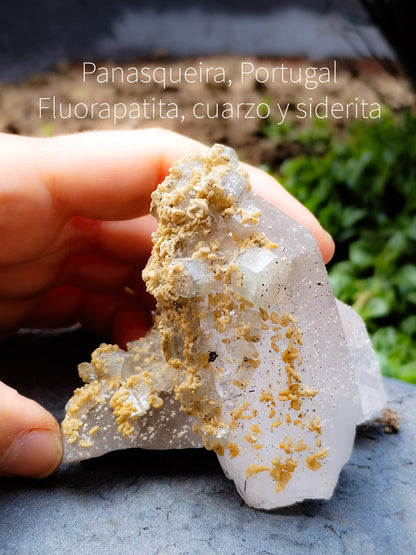 Pieza de colección de Panasqueira, cuarzo siderita y Fluroapatito