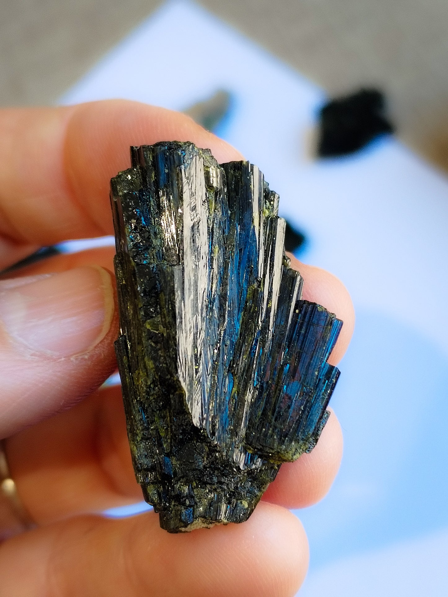 Epidota
