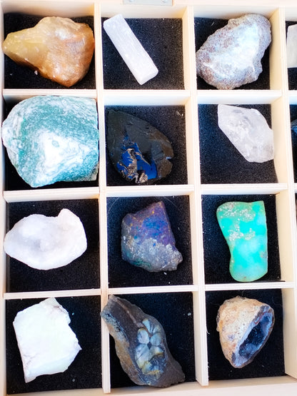 Gran colección de Minerales