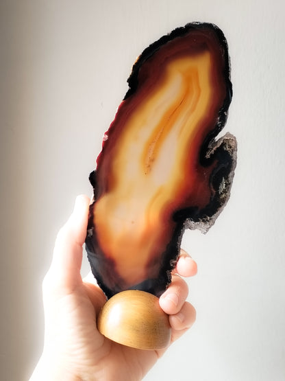 Tres rodajas de Carneola con Base de madera