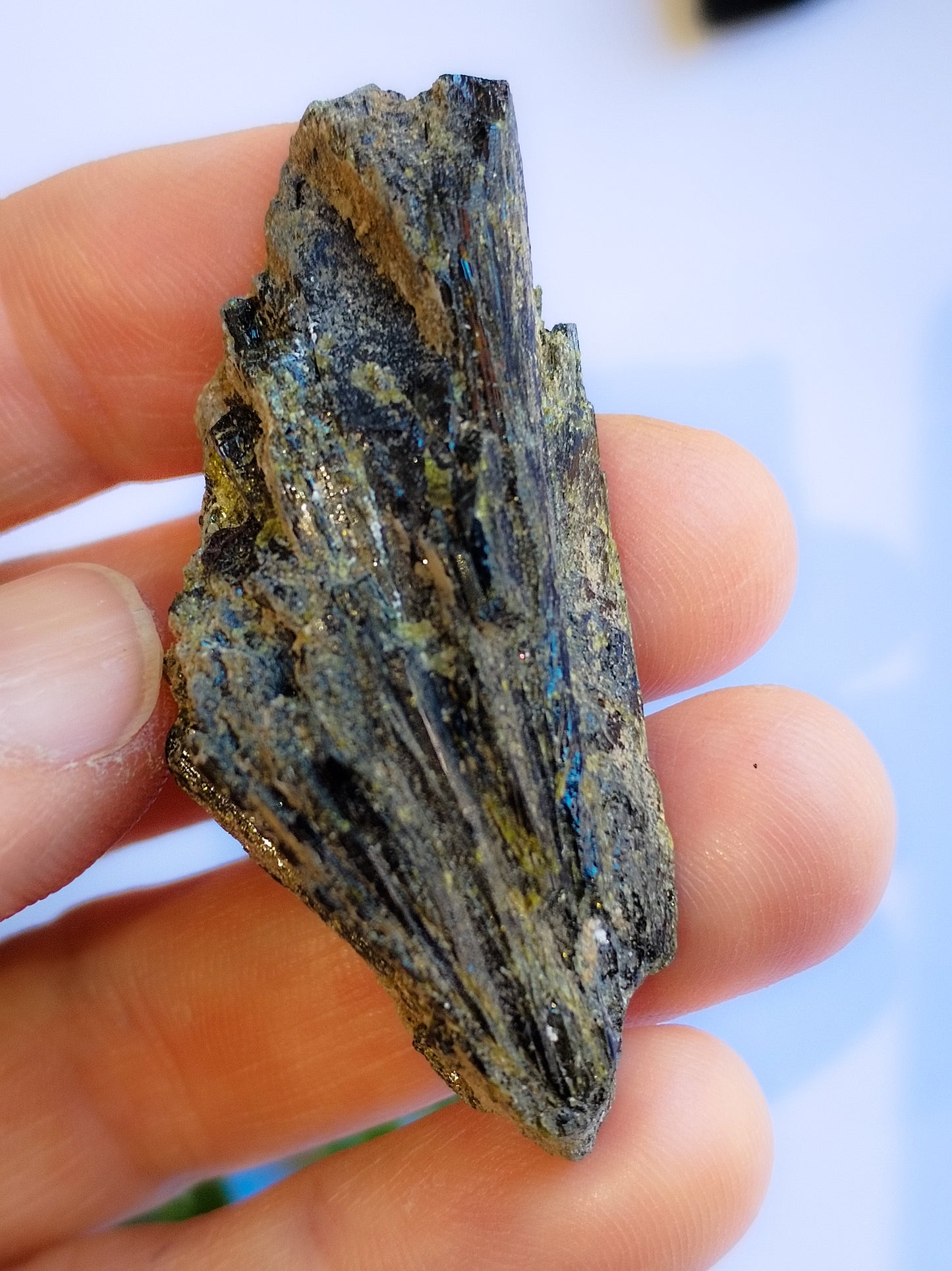 Epidota