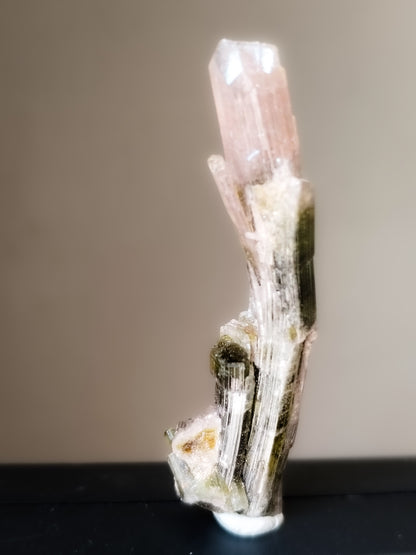 Turmalina bicolor