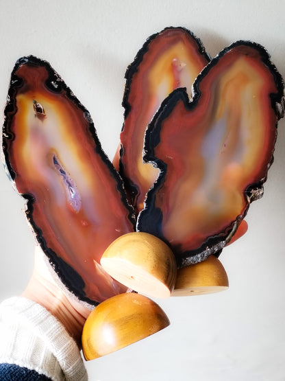 Tres rodajas de Carneola con Base de madera