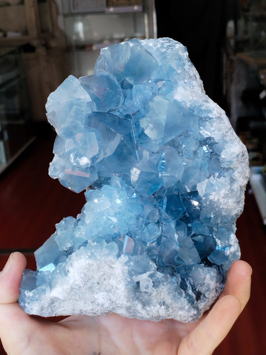 Celestina Extra pieza única