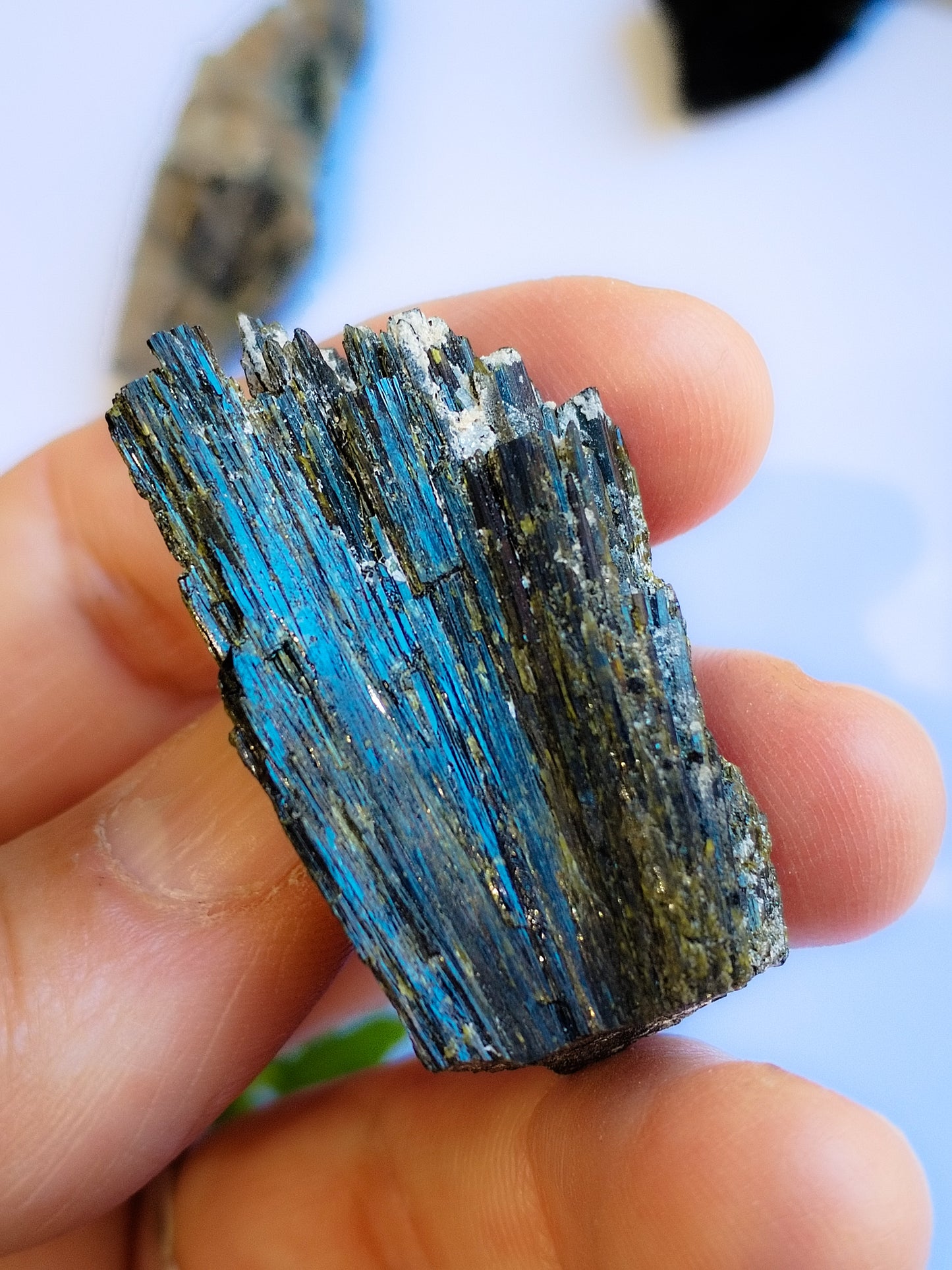 Epidota