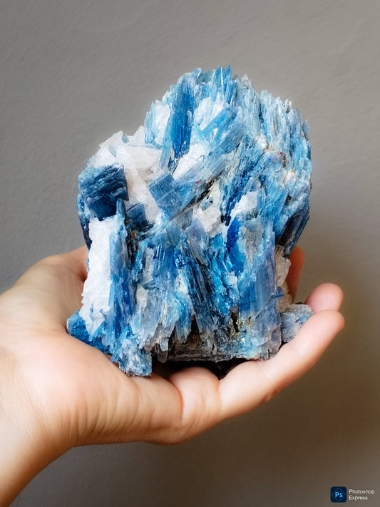 Cianita azul con cuarzo blanco, pieza calidad coleccionista