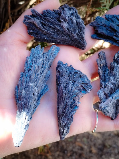 Escoba de Bruja mineral