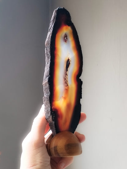 Tres rodajas de Carneola con Base de madera